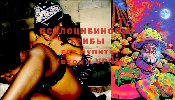 первитин Нея